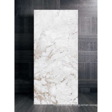 Super Strength Porcelain Throwing Technology 90X180cm Large Format Tile